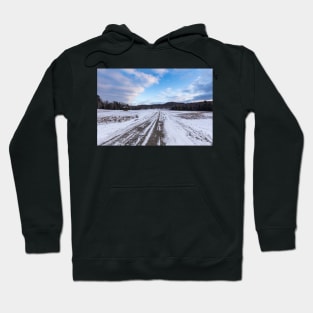 Winter in Canada 2015 Hoodie